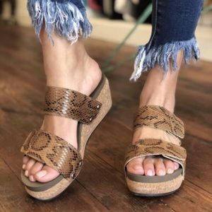 🍂Python Double Band Wedge🍂